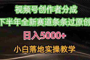 (10294期)视频号创作者分成最新玩法,日入5000+ 下半年全新赛道条条过原创,小…