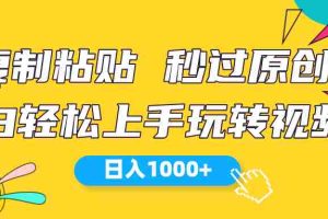 (10328期)视频号新玩法 小白可上手 日入1000+