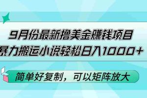 (12487期)9月份最新撸美金赚钱项目,暴力搬运小说轻松日入1000+,简单好复制可以…