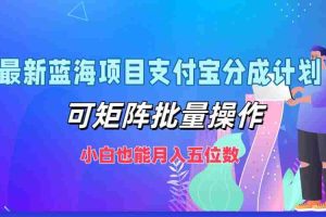 （12515期）最新蓝海项目支付宝分成计划，可矩阵批量操作，小白也能月入五位数