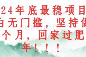 （12970期）2024年底最稳项目，小白无门槛，坚持做三个月，回家过肥年！！！