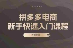 （13289期）拼多多电商新手快速入门课程：涵盖基础、实战与选款，助力小白轻松上手