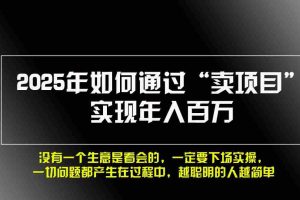 （13468期）2025年如何通过“卖项目”实现年入百万，做网赚必看！！