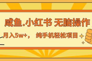 （13488期）年前暴利项目，7天赚了2.6万，咸鱼,小红书 无脑操作