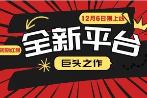 （13696期）又一个全新平台巨头之作，12月6日刚上线，小白入局初期红利的关键，想…