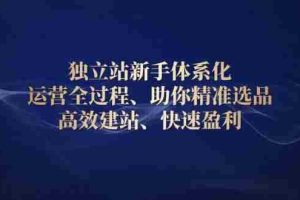 （13914期）独立站新手体系化 运营全过程，助你精准选品、高效建站、快速盈利