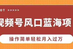 （13945期）视频号风口蓝海项目，中老年人的流量密码，操作简单轻松月入过万