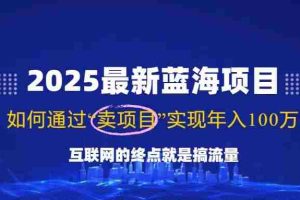 （14305期）2025最新蓝海项目，零门槛轻松复制，月入10万+，新手也能操作！