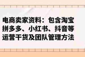 （14354期）电商卖家资料：包含淘宝、拼多多、小红书、抖音等运营干货及团队管理方法