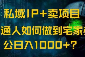 （14400期）私域IP+卖项目，普通人如何做到宅家办公实现日入1000+