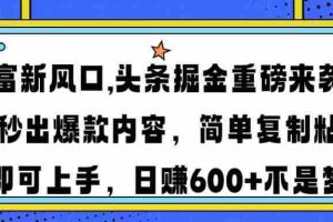 （14434期）财富新风口,头条掘金重磅来袭AI秒出爆款内容简单复制粘贴即可上手，日…