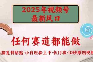 （14453期）2025年视频号新风口，低门槛只需要无脑执行