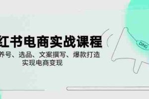 （14549期）小红书电商实战课程，详解养号、选品、文案撰写、爆款打造，实现电商变现